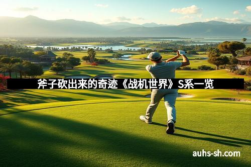 斧子砍出来的奇迹《战机世界》S系一览